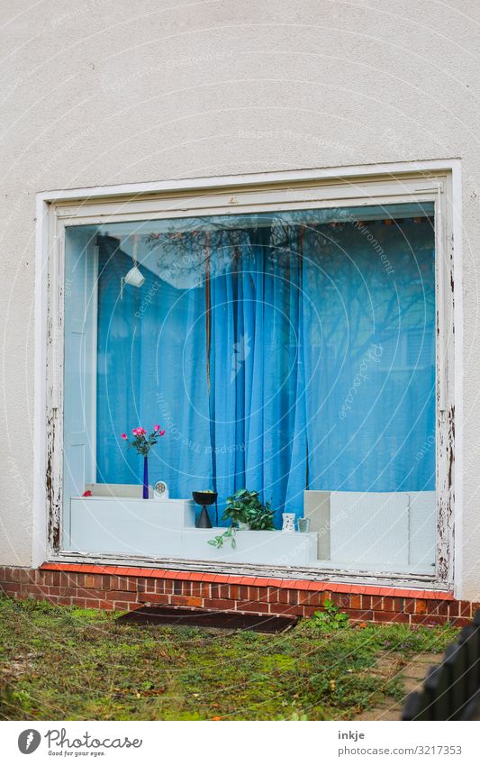 Das Fenster mit der blauen Gardine Lifestyle Häusliches Leben Wohnung Haus schlechtes Wetter Wiese Menschenleer Fassade Schaufenster Dekoration & Verzierung
