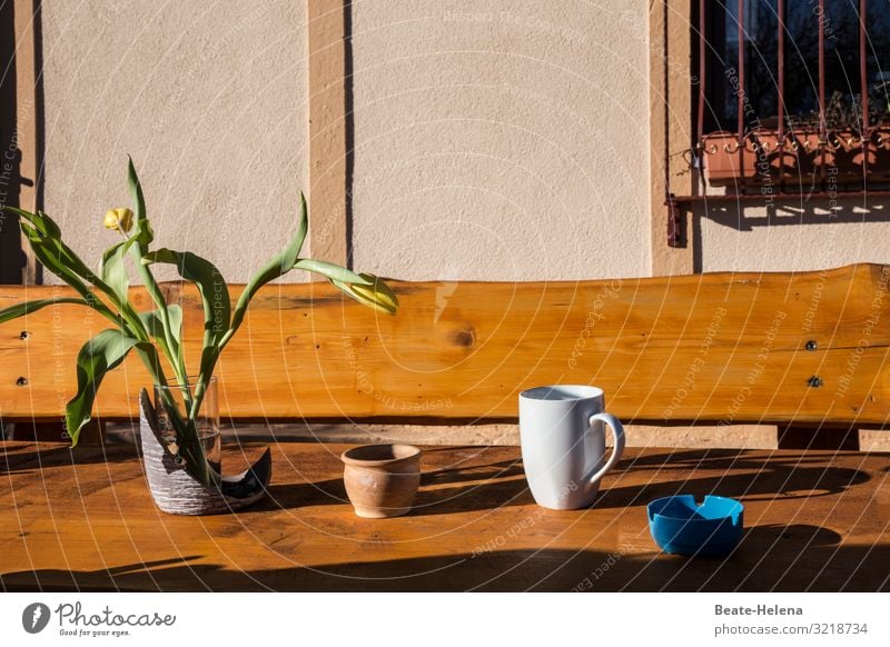 Hölzern 3 Holz Holztisch Holzbank Sitzgelegenheit Außenaufnahme Pause Erholung sitzen Blumenschmuck Tasse Aschenbecher