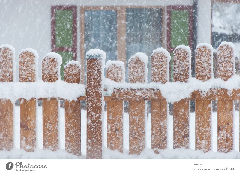 Wenn das Christkind kommt Weihnachten & Advent Winter Eis Frost Schnee Schneefall Fenster Gartenzaun Holzzaun authentisch kalt natürlich braun Hoffnung Idylle