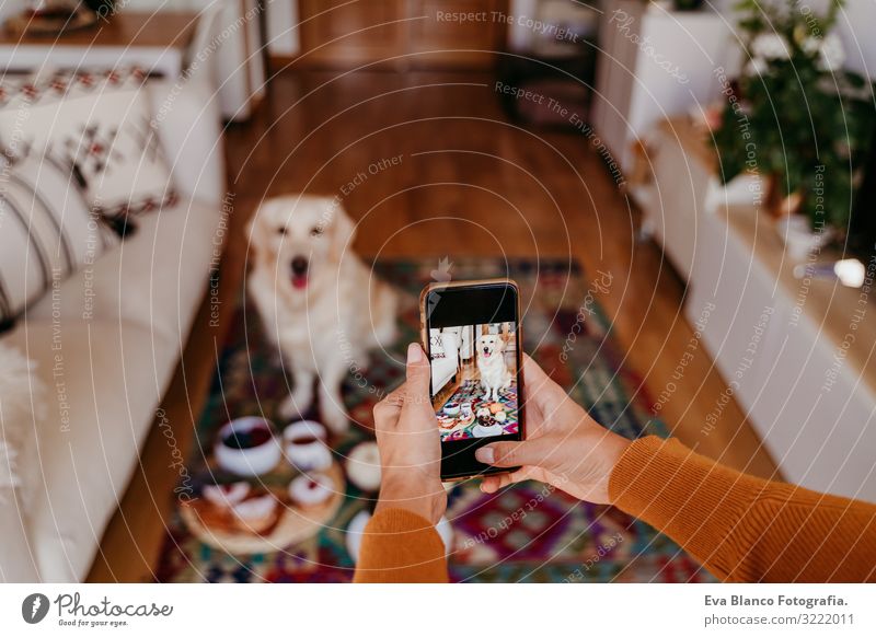 junge kaukasische Frau, die ihren Golden Retriever-Hund mit dem Handy fotografiert. Zuhause, in Innenräumen Grafik u. Illustration PDA Technik & Technologie