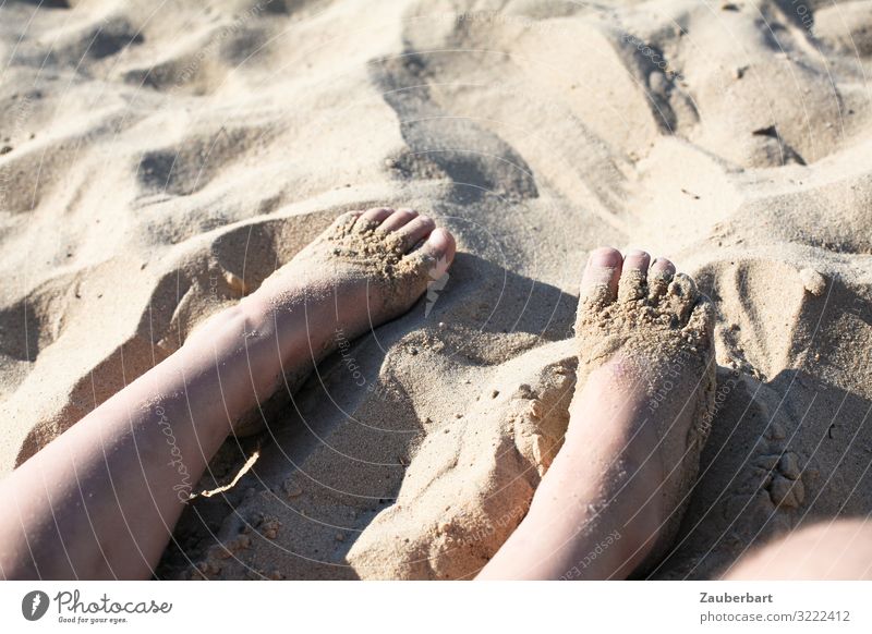 Kinderfüße im Sand Ferien & Urlaub & Reisen Sommer Sommerurlaub Sonne Strand Kindheit Beine Fuß 3-8 Jahre Sonnenlicht genießen Spielen Glück klein niedlich