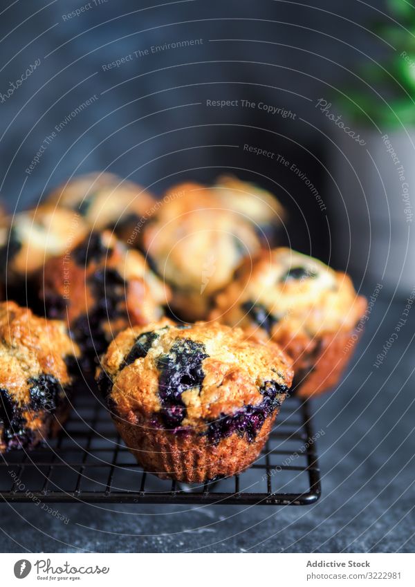 Hausgemachte Blaubeer-Muffins auf Kühlgestell über dunklem Hintergrund. kalorienarm selbstgemacht Blaubeeren Kühlregal niemand vertikal Textfreiraum