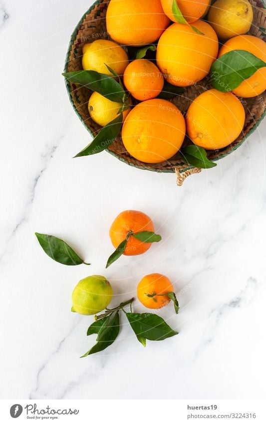 Orangen, Mandarinen und Zitronen von oben gesehen Lebensmittel Gemüse Frucht Dessert Frühstück Vegetarische Ernährung Diät Geschirr Lifestyle Stil