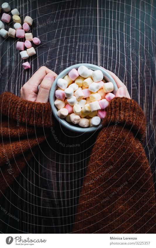 Frau hält eine Tasse heiße Schokolade mit Marshmallows in der Hand. Dessert Winter Dekoration & Verzierung Erwachsene Pullover weich gelb rosa weiß Farbe Zucker