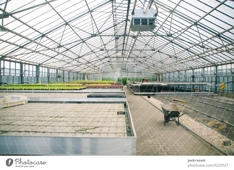 im Glashaus soll man nicht mit Steinen werfen! Gartenbau Nutzpflanze Gewächshaus Konstruktion Schubkarre Klimaanlage Pflanzenschutz Wachstum authentisch frei