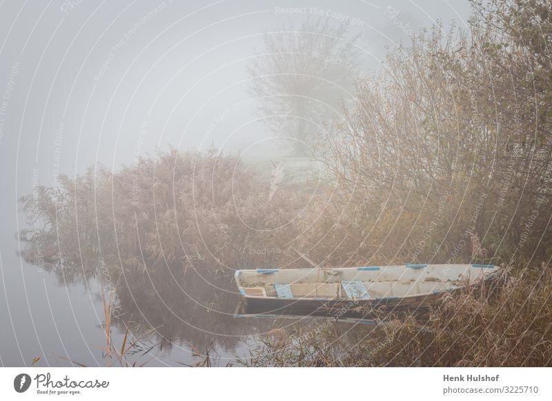 Altes Ruderboot in einem See an einem nebligen eisigen Morgen in den Niederlanden allein schön Schönheit Boot Windstille kalt Farbe früh leer Umwelt Europa