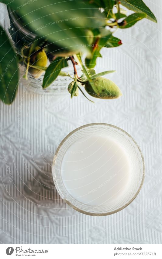 Glas Mandelmilch auf dem Küchentisch Tisch Pflanze grün Spitze Stoff Lebensmittel Diät organisch Gesundheit frisch Vegetarier Getränk trinken natürlich