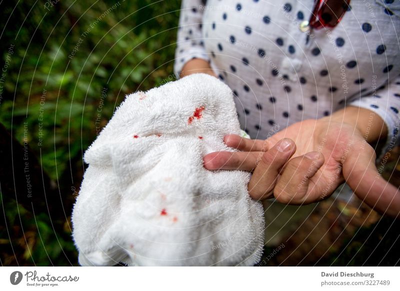 Angriff der Ameisen Ferien & Urlaub & Reisen feminin Arme Hand 1 Mensch Natur Urwald Desaster bedrohlich Todesangst Schmerz Schnittwunde Blut Finger Tierbiss