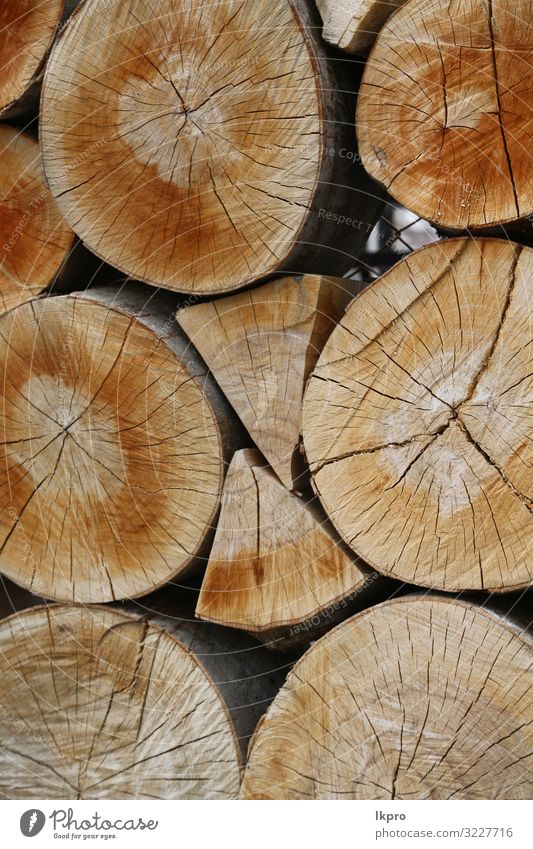 Holzschnitt und Hintergrund Arbeit & Erwerbstätigkeit Industrie Säge Umwelt Natur Pflanze Baum Wald Ring natürlich braun Energie geschnitten Totholz Konsistenz