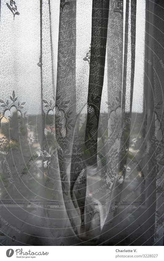 Hinter deutschen Gardinen | Blick aus dem Fenster durch einen durchsichtigen Vorhang. Häusliches Leben Innenarchitektur Dekoration & Verzierung Dorf Stoff Glas