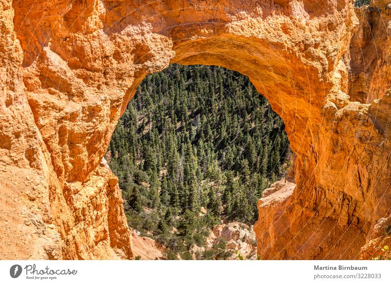 Nahaufnahme der natürlichen Brücke, Bryce Canyon Utah Ferien & Urlaub & Reisen Tourismus Natur Landschaft Park Felsen Schlucht Stein rot Farbe natürliche Brücke