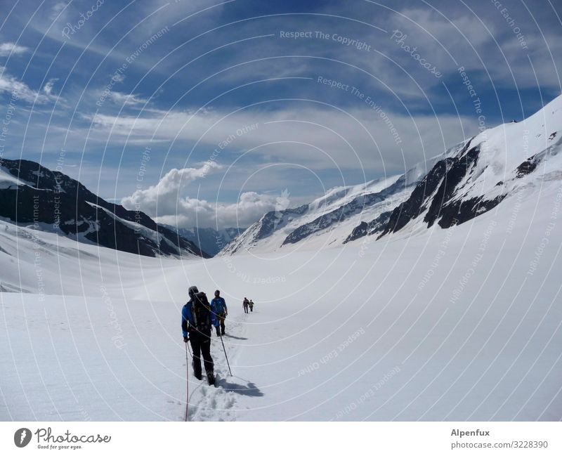 Der Alpenraum- unendliche Weiten Klima Klimawandel Schönes Wetter Eis Frost Schnee Felsen Berge u. Gebirge Gipfel Schneebedeckte Gipfel Gletscher laufen wandern