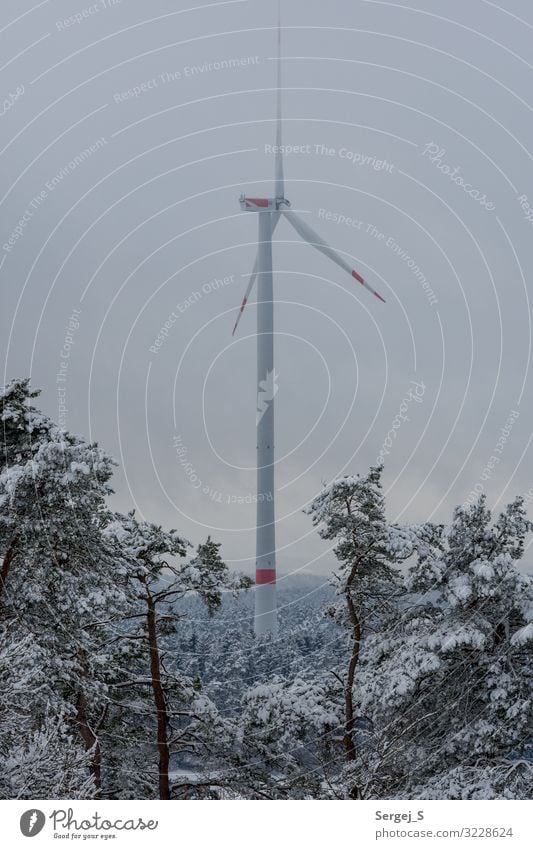 Windkraft Winter Schnee Energiewirtschaft Windkraftanlage Energiekrise Natur Landschaft Tier Himmel Wolken Wald drehen GörauerAnger Windrad Farbfoto