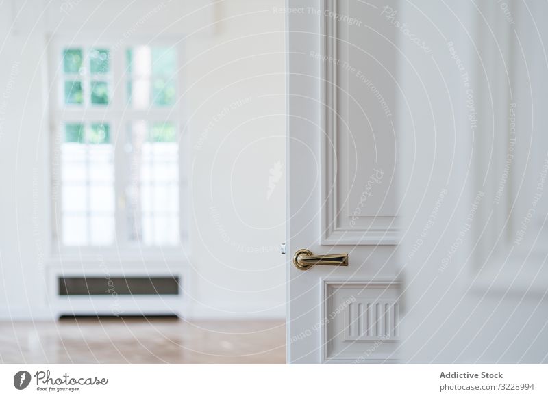 Moderne Tür mit stilvollem Metallknopf in flacher Handgriff modern Knauf Design Sauberkeit übersichtlich einfach Windstille Stil privat heimwärts Frieden Haus
