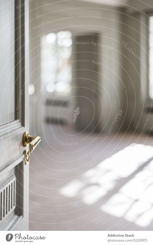 Moderne Tür mit stilvollem Metallknopf in flacher Handgriff modern Knauf Design Sauberkeit übersichtlich einfach Windstille Stil privat heimwärts Frieden Haus