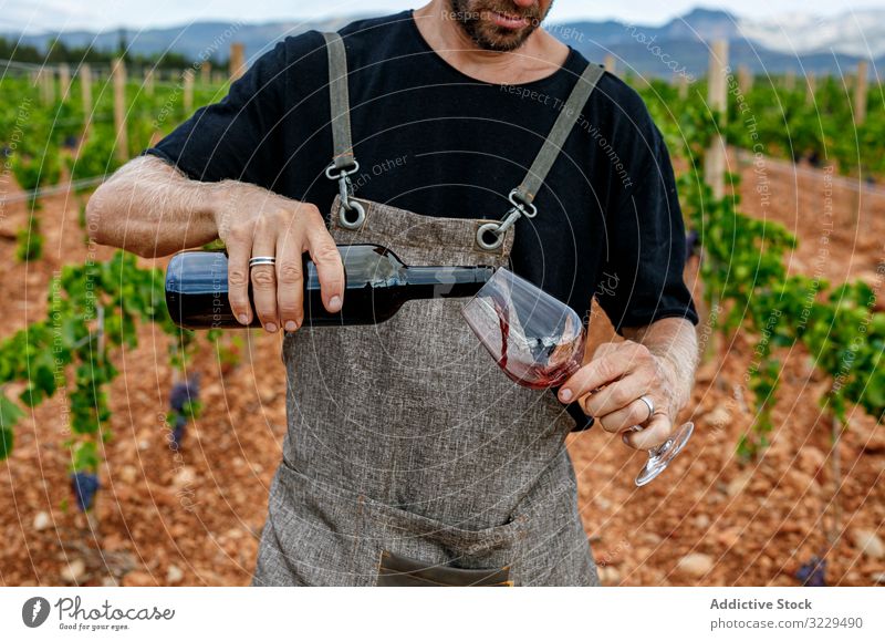 Mann füllt Glas mit Wein im Tal Weinberg eingießen besetzen männlich Arbeitskleidung Natur Weingut trinken Weinbau Ackerbau Lifestyle Sommer Traube Landschaft