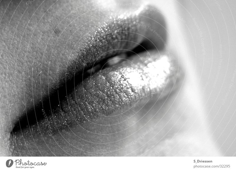 Lippen #2 Detailaufnahme Lippenstift feminin Frau Erwachsene Mund glänzend schwarz weiß Lipgloss Glamour Mundwinkel voll Leberfleck