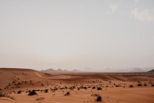 Sonnenuntergangshimmel über Hügeln in der Wüste wüst Sand Himmel wolkig Felsen trocken Marokko Afrika Abend niemand Landschaft Natur Düne Stein Felsbrocken