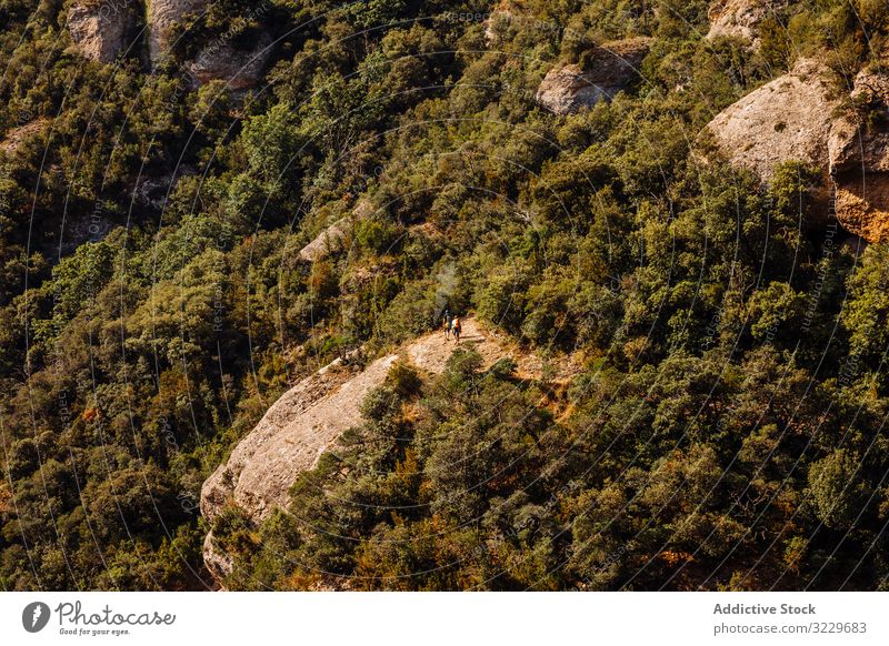 Wanderer zu Fuss auf dem Berg Schlucht Route Gesundheit Entdecker Touristen Sport Katalonien Tourismus grün Baum aktiv im Freien Sonnenlicht laufen Höhe hoch