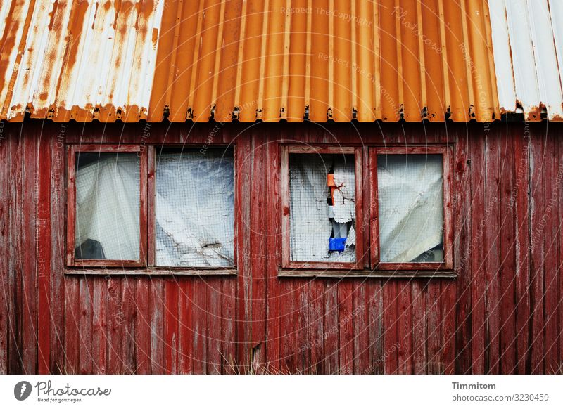Recht stabil und verschlossen Ferien & Urlaub & Reisen Fischereiwirtschaft Dänemark Fischerhütte Fassade Fenster Dach Holz Glas Metall Kunststoff alt dreckig