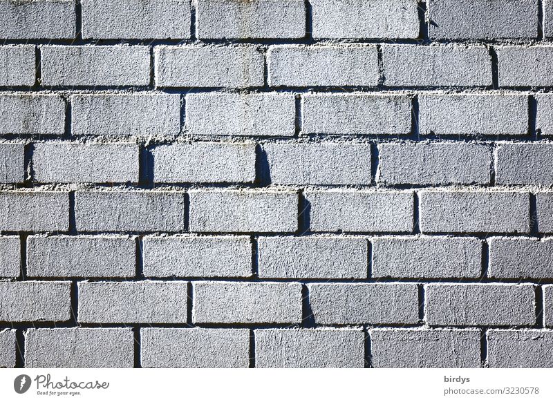 Mauer Maurer Wand Backsteinwand Linie authentisch einfach grau schwarz Schutz formatfüllend Hintergrundbild Farbfoto Gedeckte Farben Außenaufnahme