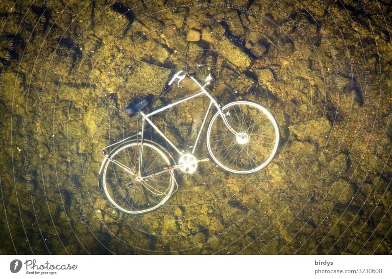 verloren| am Grund gefunden Fahrrad Wasser See Fluss Flussgrund Stein Metall liegen authentisch kaputt nass trist braun grün silber weiß Ärger