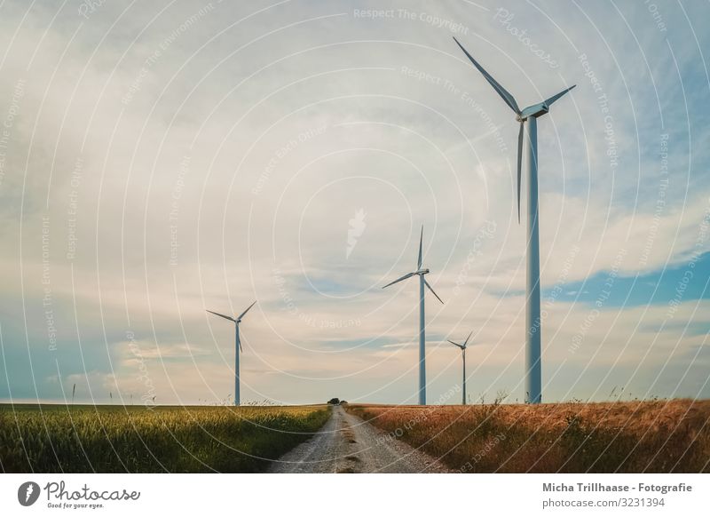 Windräder am Feld Landwirtschaft Forstwirtschaft Energiewirtschaft Technik & Technologie Fortschritt Zukunft Erneuerbare Energie Windkraftanlage Natur