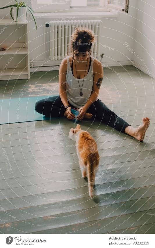 Entspannte Frau spielt zu Hause mit Katze auf dem Boden spielen heimwärts entspannt fürsorglich katzenhaft heimisch Appartement Stock Barfuß lässig modern