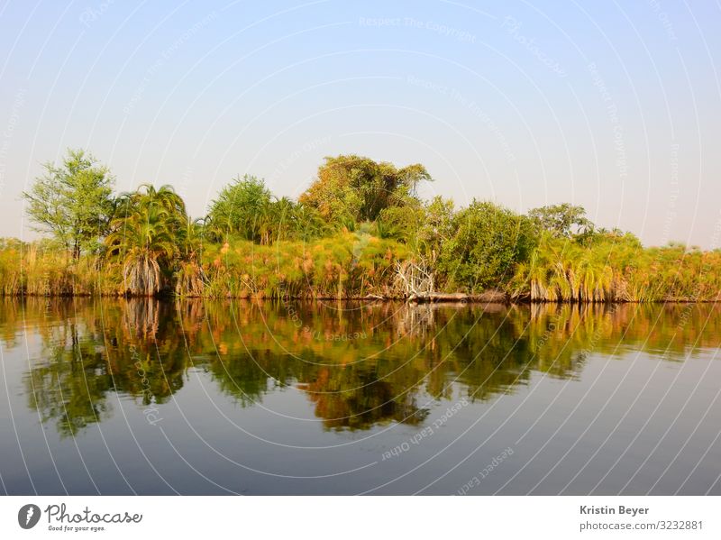 Spiegelungen am Okavango Delta Ferien & Urlaub & Reisen Ferne Expedition Sommer Sommerurlaub Natur Landschaft Wasser Wolkenloser Himmel Sonnenlicht