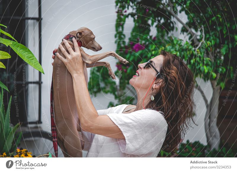 Frau küsst Windhund, während sie sich auf der Straße entspannt Hund Kuss Zusammensein kuscheln Haustier Umarmung Umarmen Blumenbeet Marbella