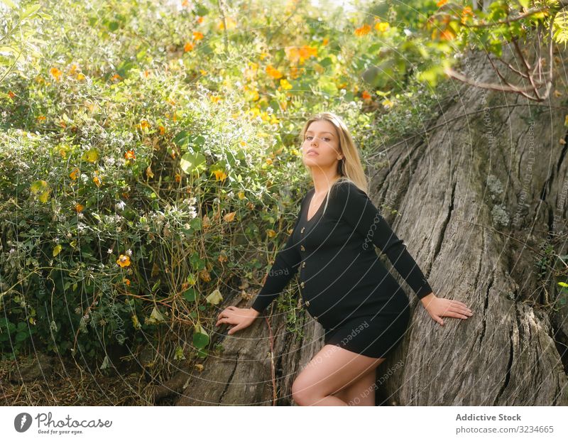Nachdenkliche schwangere Frau schaut in die Kamera, während sie an einem sonnigen Tag im Garten sitzt Erwartung Blume Schönheit pränatal Windstille ländlich