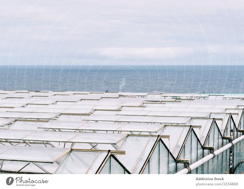 Glasgewächshausdächer bei bedecktem Himmel Gewächshaus Dach Bauernhof ländlich Business Garten Arbeit Anlaufstelle Gartenbau Polycarbonat Konstruktion