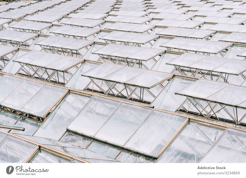 Glasgewächshausdächer bei bedecktem Himmel Gewächshaus Dach Bauernhof ländlich Business Garten Arbeit Anlaufstelle Gartenbau Polycarbonat Konstruktion