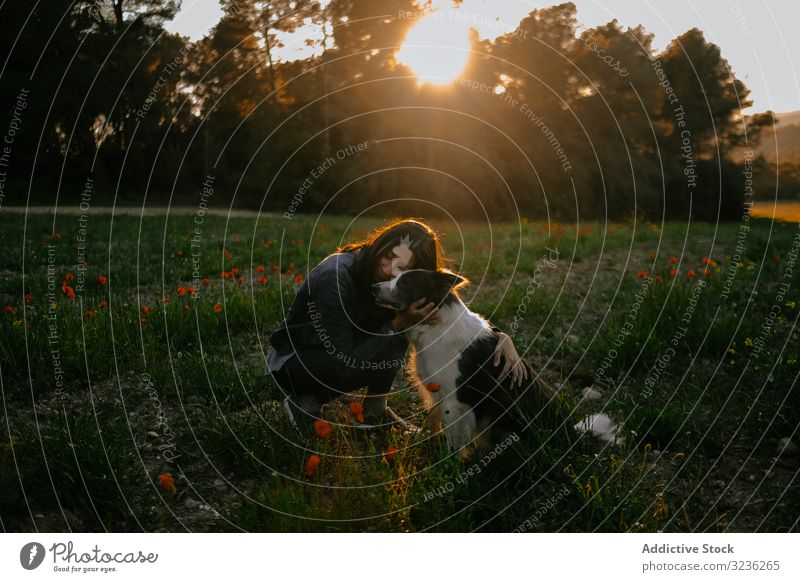 Frau küsst Hund auf der Wiese Kuss Sonnenuntergang Borte Collie Bäume Liebe Pflege Haustier Umarmung Glück Tier jung Natur schön Landschaft Zuneigung Eckzahn