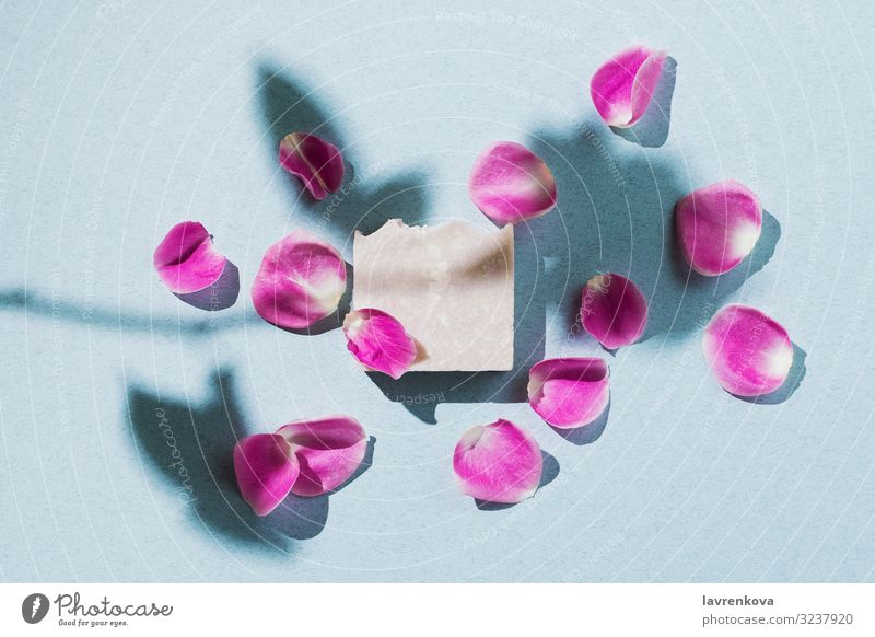 Minimalistische Flachlegung aus natürlicher handgefertigter Seife mit Blütenblättern Bars Bad Beautyfotografie Körper Körperpflege Kosmetik schlitzohrig Rose