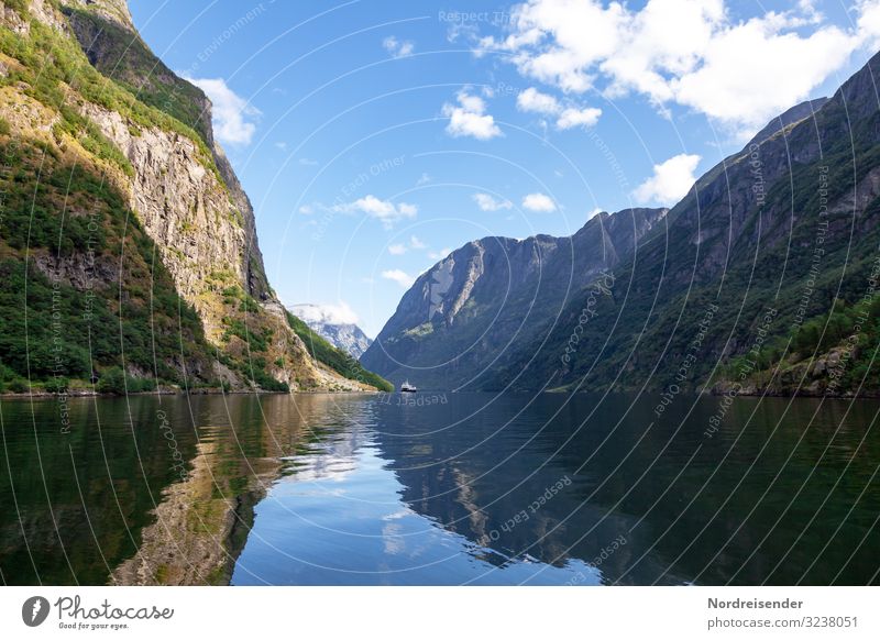 Aurlandsfjord Ferien & Urlaub & Reisen Tourismus Kreuzfahrt Meer Natur Landschaft Urelemente Wasser Himmel Wolken Sommer Schönes Wetter Felsen Berge u. Gebirge