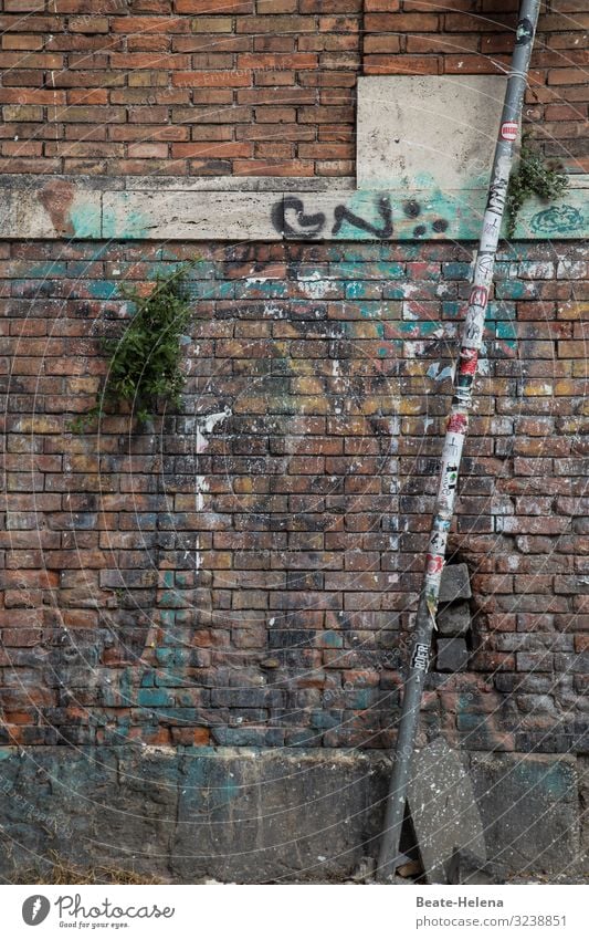 Malerei 5 Mauer Farbe Graffiti Schriftzeichen Straßenkunst Außenaufnahme Schmiererei Fassade