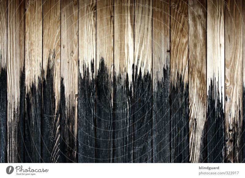 Altlastenentsorgung - Versteckt hinter einer Holzwand mit unfertigem Anstrich Schuppen Verschlag Agbrenzung Wand Struktur Maserung natürlicher Baustoff