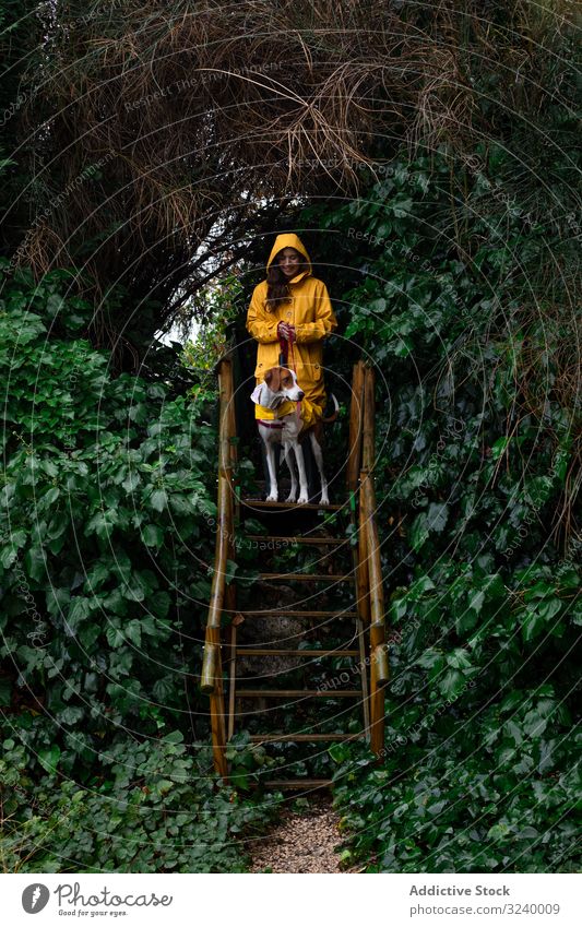 Frau in gelber Jacke mit Hund auf Treppe am Pflanzenzaun nass Zaun laufen Haustier niedlich Garten Tier Besitzer bezaubernd Hündchen Stehen heimisch grün Natur