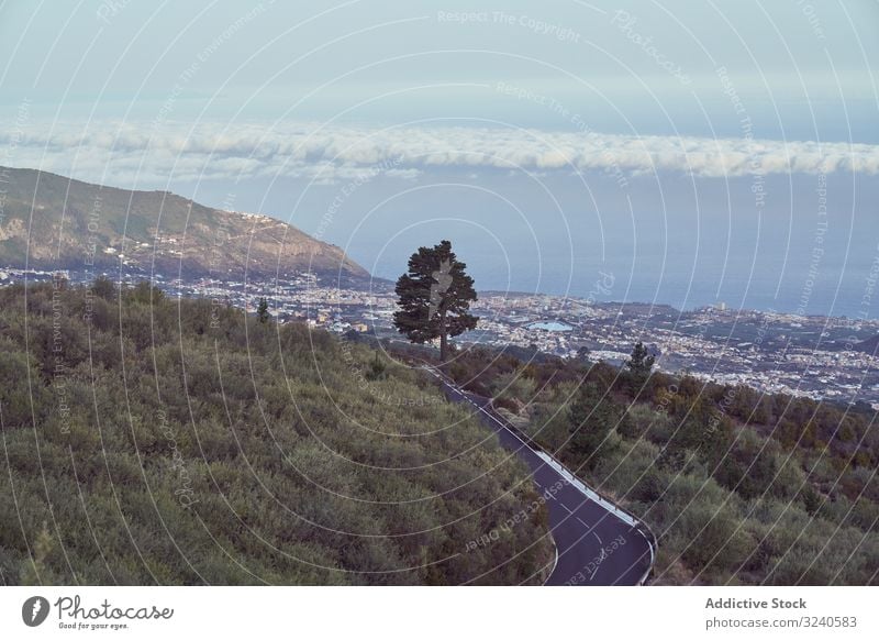Luftaufnahme der Stadt in den Bergen Berge u. Gebirge Himmel Vulkan Insel Gelände Landschaft malerisch Stadtbild Teneriffa el teide Spanien Reittier Skyline