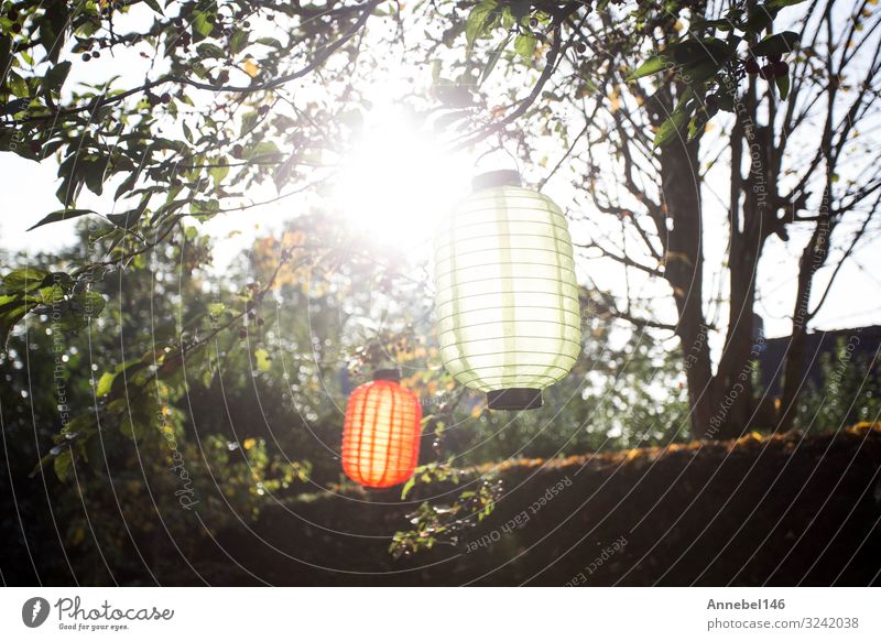 Schöne bunte Laternen, die bei Sonnenlicht an den Bäumen hängen. schön Ferien & Urlaub & Reisen Sommer Garten Dekoration & Verzierung Lampe Feste & Feiern Kunst