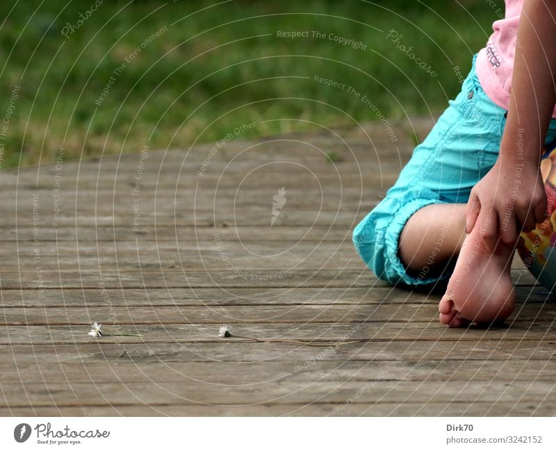 Dänischer Sommer - Detailaufnahme eines Kindes auf einer Holzterrasse mit Gänseblümchen ... Ferien & Urlaub & Reisen Tourismus Sommerurlaub Häusliches Leben