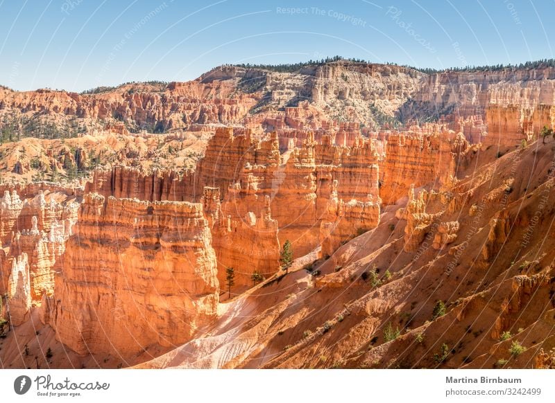 Majestätische Hoodoos im Bryce Canyon, Utah, USA Ferien & Urlaub & Reisen Berge u. Gebirge Natur Landschaft Himmel Park Felsen Schlucht Denkmal Stein gold rot