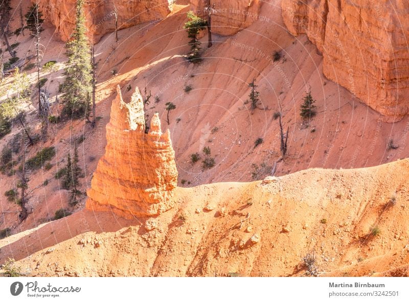 Wie eine Kapelle, Hoodoo im Bryce Canyon Utah Ferien & Urlaub & Reisen Berge u. Gebirge Natur Landschaft Himmel Park Felsen Schlucht Denkmal Stein gold rot
