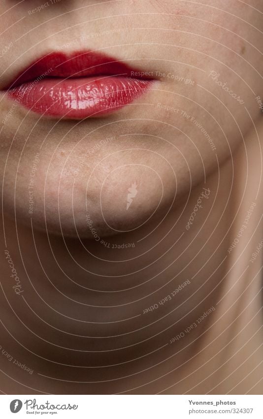 Lips. Mensch feminin Junge Frau Jugendliche Erwachsene Kopf Mund Lippen 1 rot Lippenstift Kosmetik schön Farbfoto Innenaufnahme Nahaufnahme Detailaufnahme