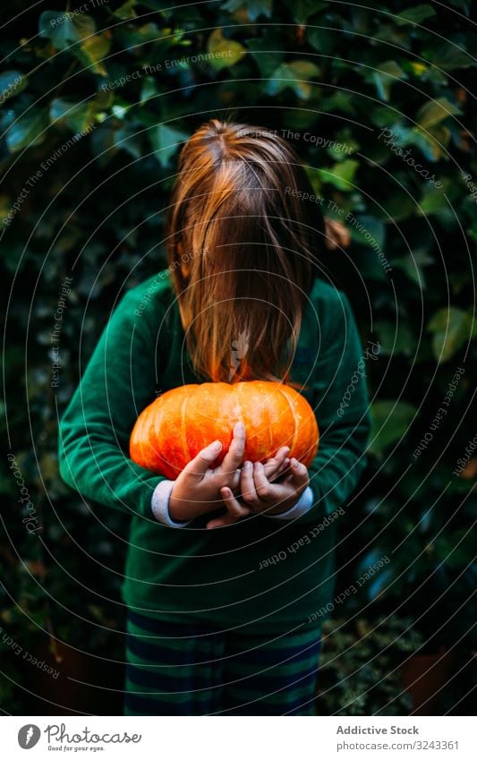 Kind mit Kürbis, das ein Monster im Halloween-Stil vortäuscht reif so tun, als ob orange Garten Herbst Entsetzen Deckfläche Stengel Gesundheit Symbol