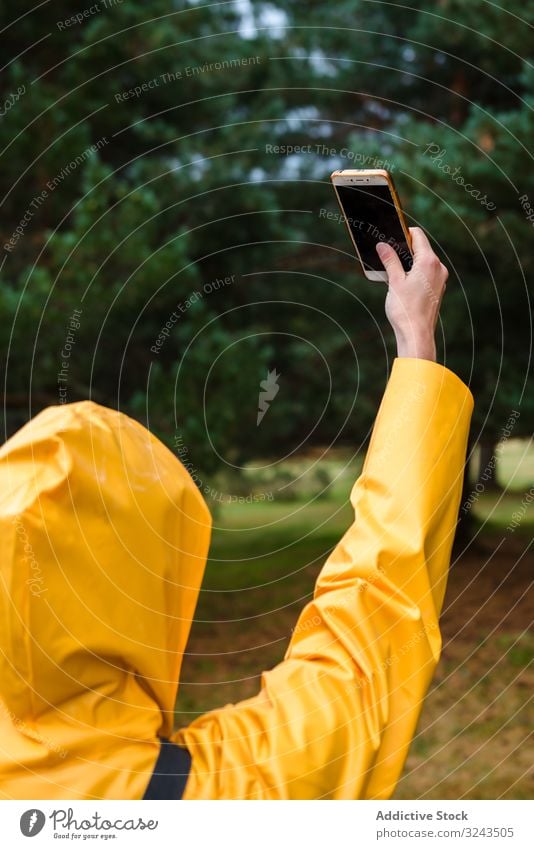 Frau in Kapuzenpulli und gelbem Regenmantel nimmt Selbstbedienung Selfie Smartphone Wald laufen Natur benutzend nass Park lässig Wetter wasserdicht Pinienwald