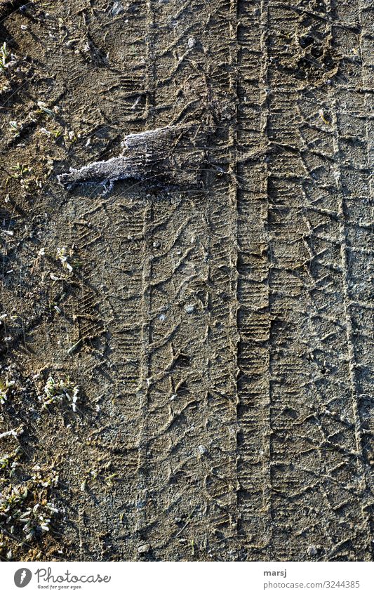 Damals, beim Morgenspaziergang Herbst Eis Frost Reifenspuren Wege & Pfade überfahren Reifenprofil Farbfoto Gedeckte Farben Außenaufnahme Muster