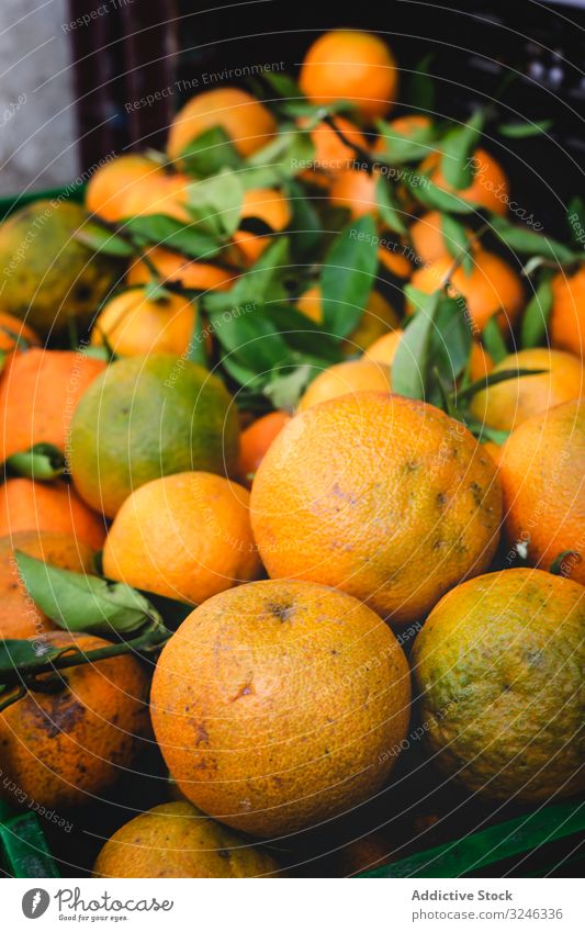 Straßenmarkt des Sortiments an frischem Obst und Gemüse Orangen Lebensmittel Markt Frucht organisch gesunde Ernährung farbenfroh grün Verkaufswagen natürlich