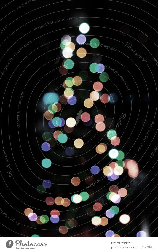 Baum Weihnachten & Advent Kitsch Krimskrams Ornament Graffiti Kugel leuchten mehrfarbig Weihnachtsbaum x-mas Lichterkette Gedeckte Farben Außenaufnahme